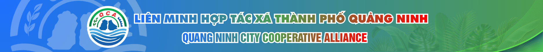 image banner